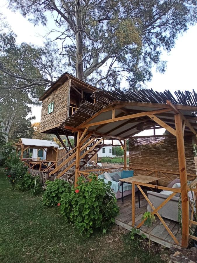 Bed and Breakfast Daidala Life Göcek Exterior foto