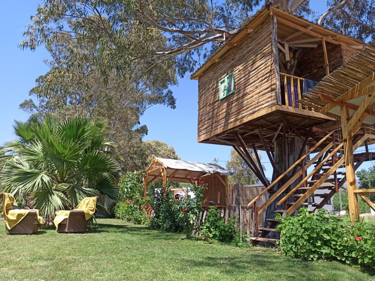 Bed and Breakfast Daidala Life Göcek Exterior foto